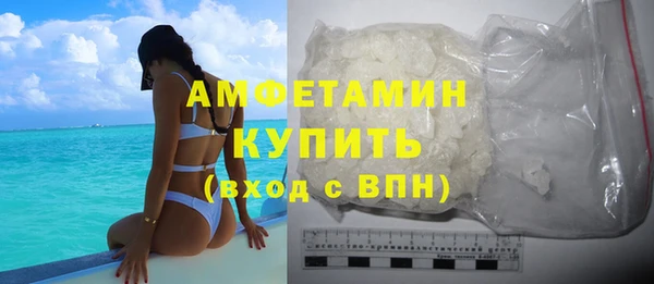 амф Верхний Тагил