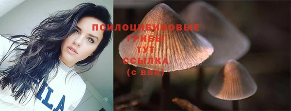 мескалин Анжеро-Судженск