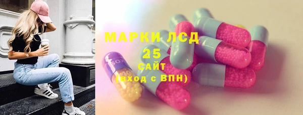 гашик Богданович
