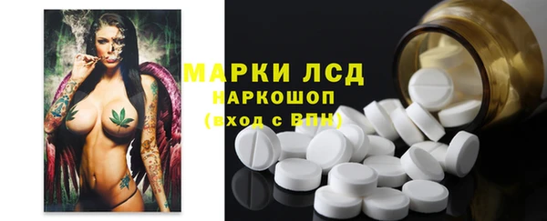 амф Верхний Тагил