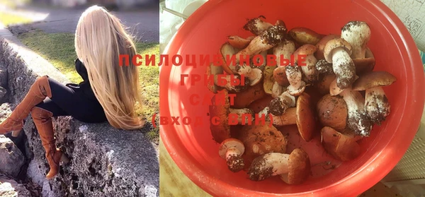 соль ск Верея