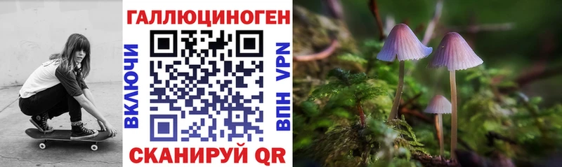 мориарти официальный сайт Волчанск Псилоцибиновые грибы Psilocybe
